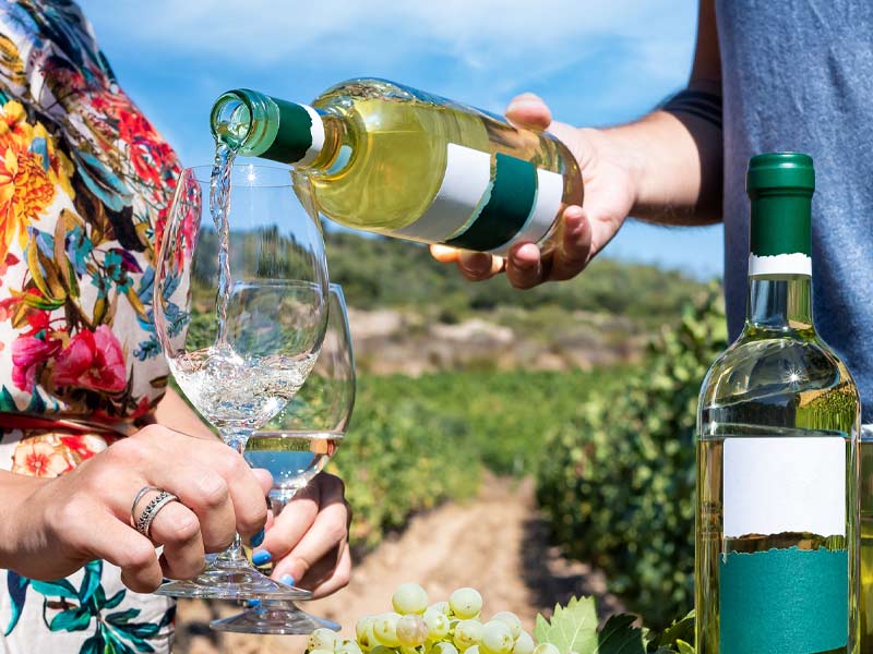 Ruta del vino de Provenza con chófer privado